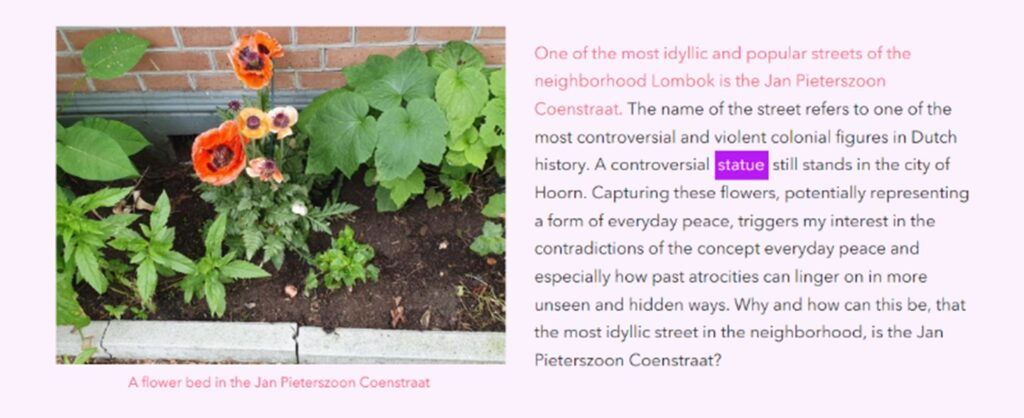 mage 6: A screenshot from the Story Map ‘Everyday Peace in the Kanaalstraat’ created as part of the Humanity in Action ‘Mapping Inequities’ Fellowship 2022. ‘A flowerbed in the Jan Pieterszoon Coenstraat’. Link: https://arcg.is/zznjf